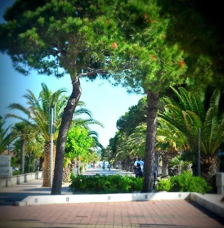 Hotel Hotel Beach