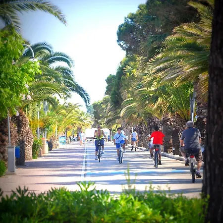 Hotel Beach Tortoreto